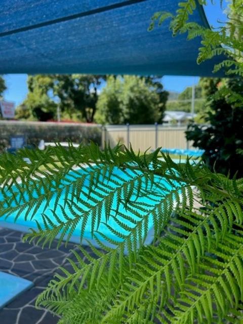 Riverbank Park Motel Bright Εξωτερικό φωτογραφία